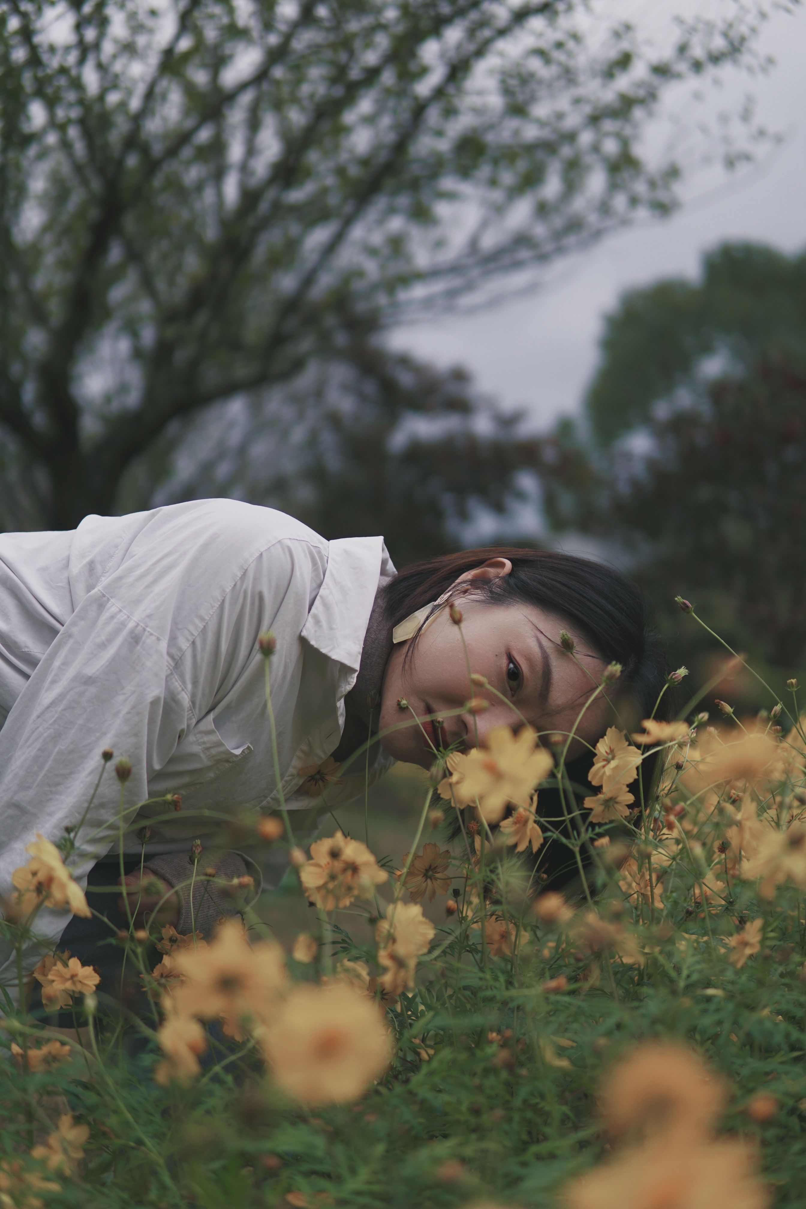 Portfolio background