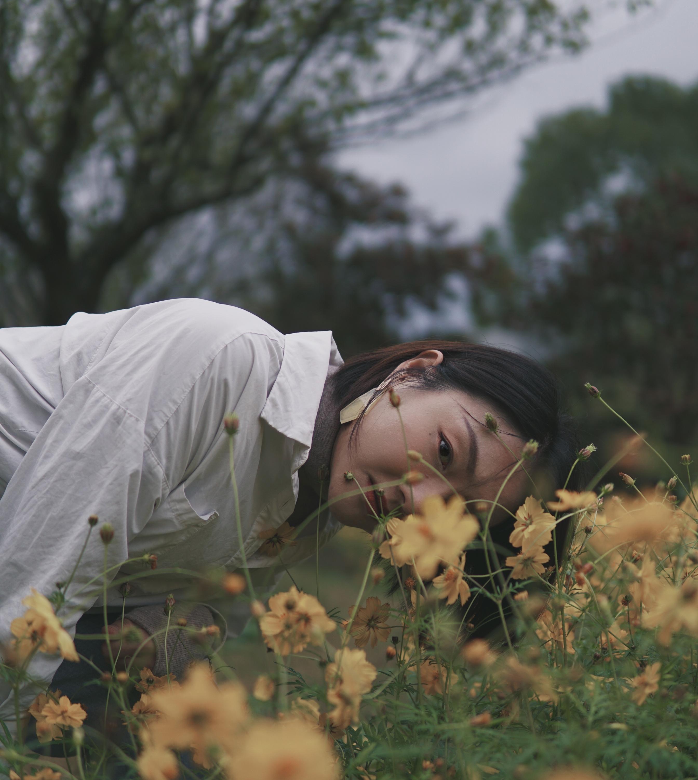 Portfolio background