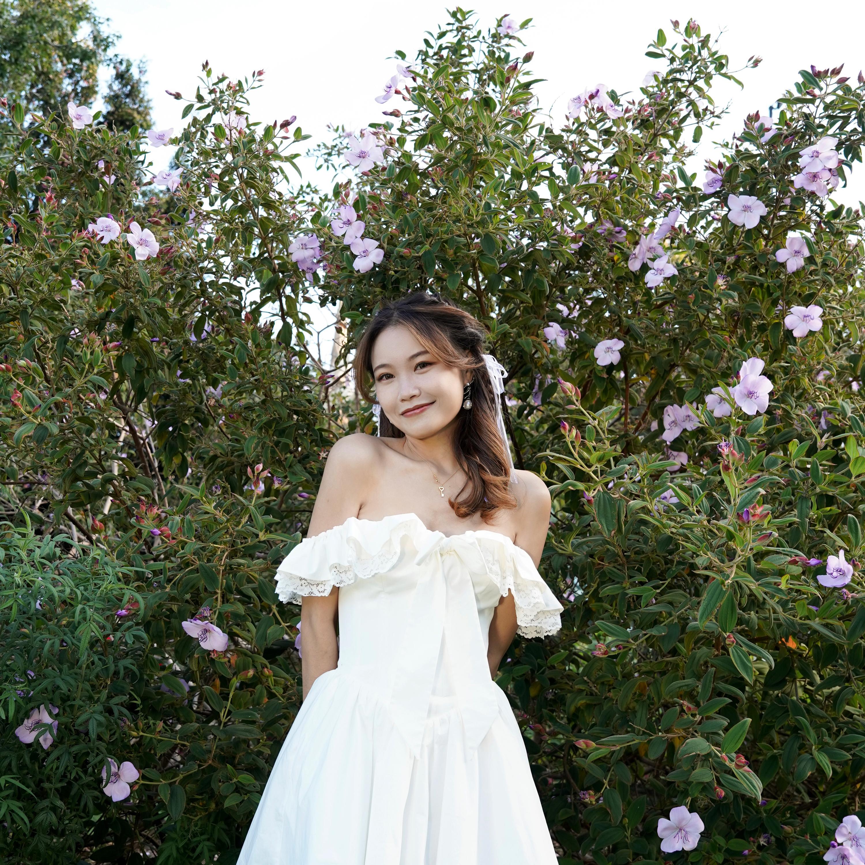 Portfolio background