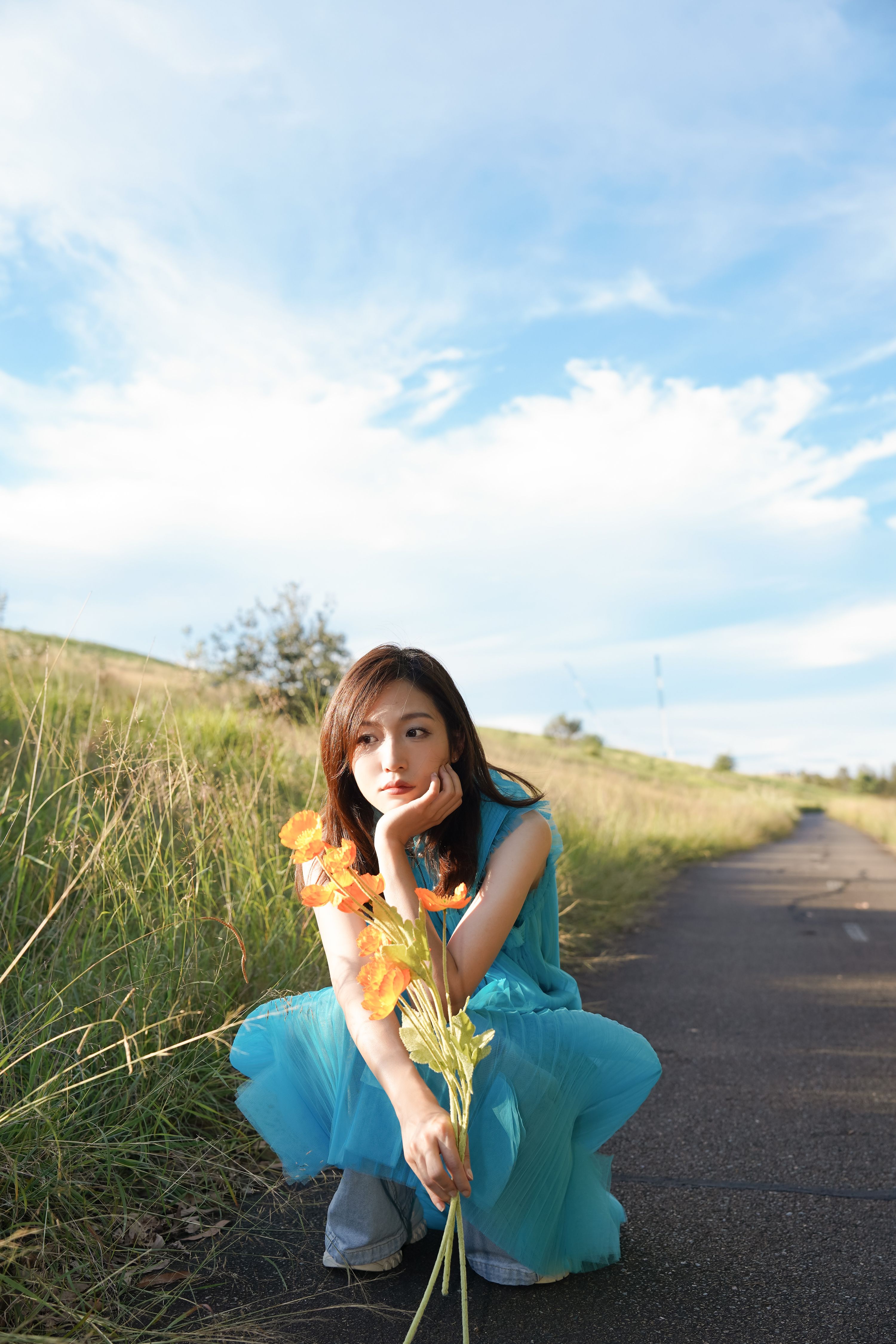 Portfolio background