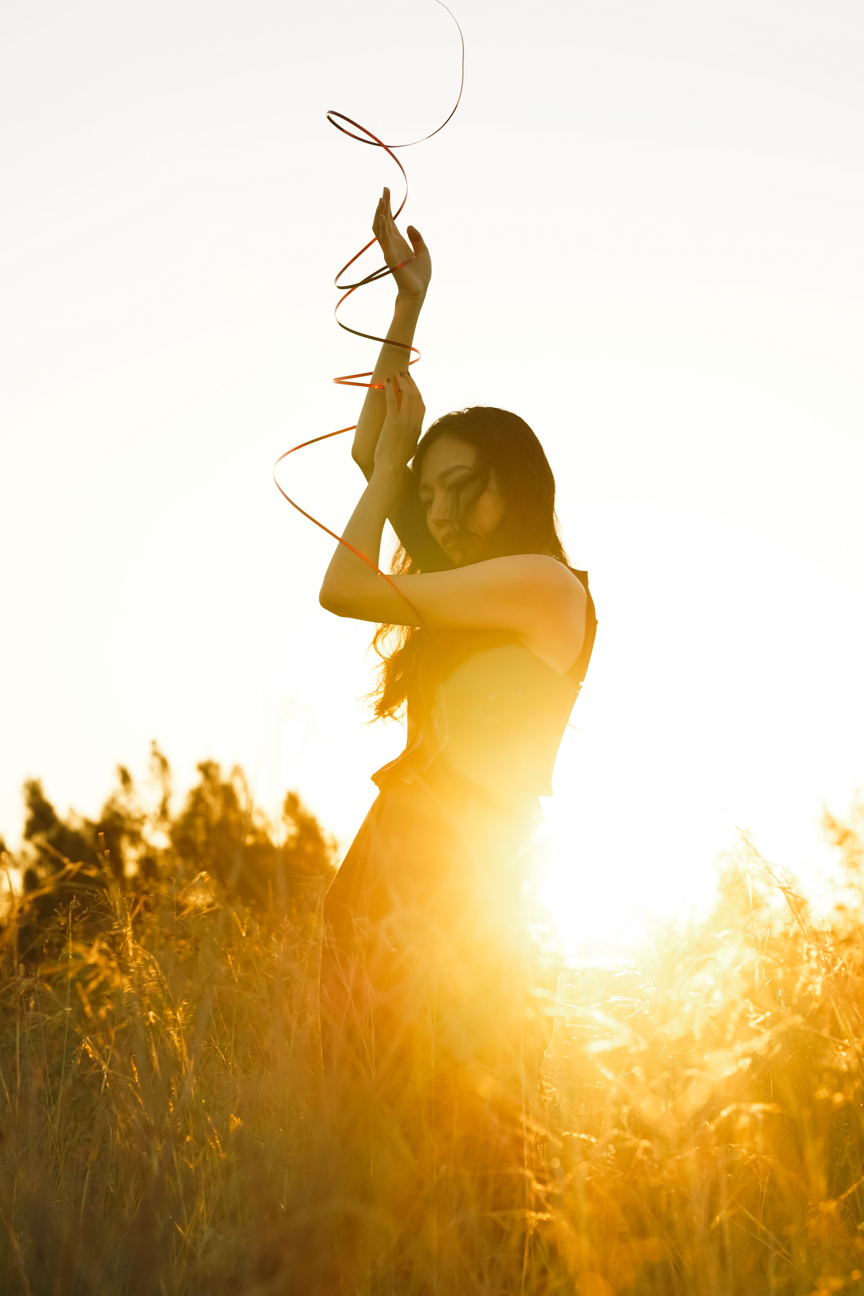 Portfolio background