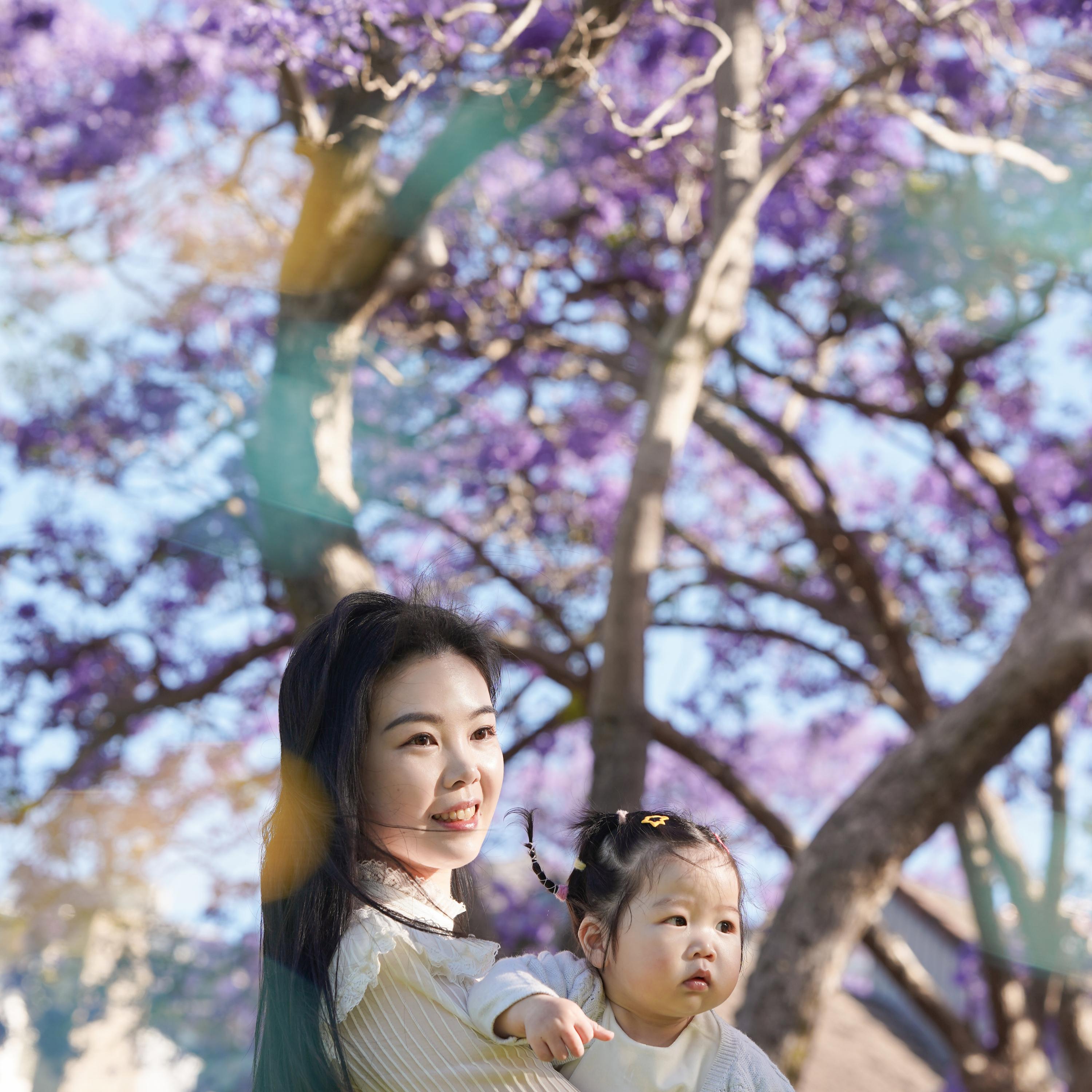 Portfolio background