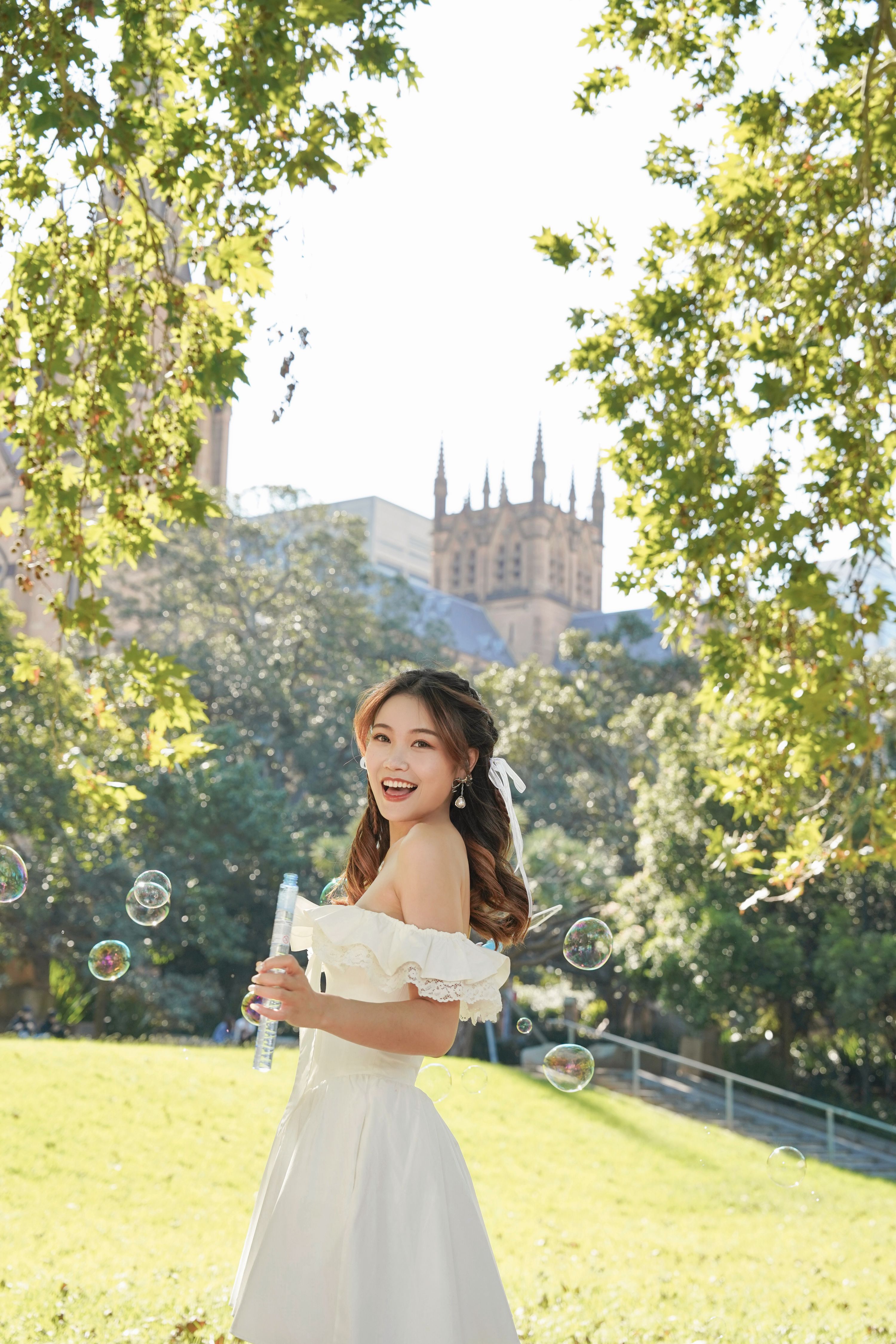 Portfolio background